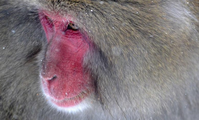 colorectal-cancer-expert-insights