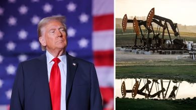 crude-oil-price-drop-trump-statement