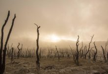 crude-oil-price-level-market-rally