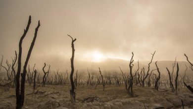 crude-oil-price-level-market-rally