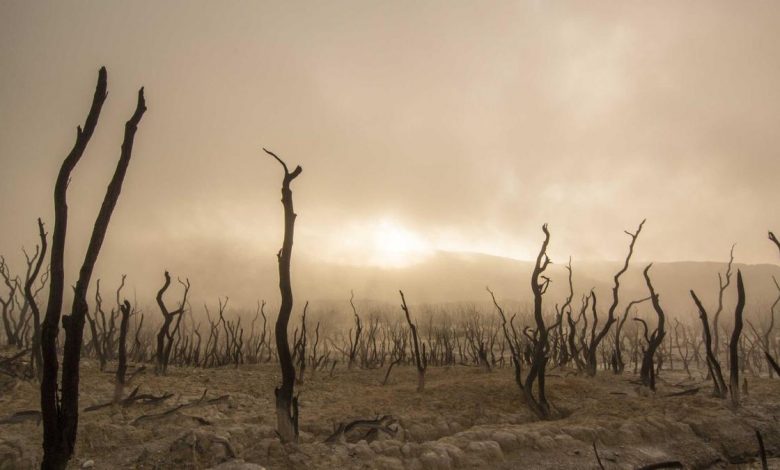 crude-oil-price-level-market-rally