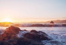 ctet-answer-key-2026-download