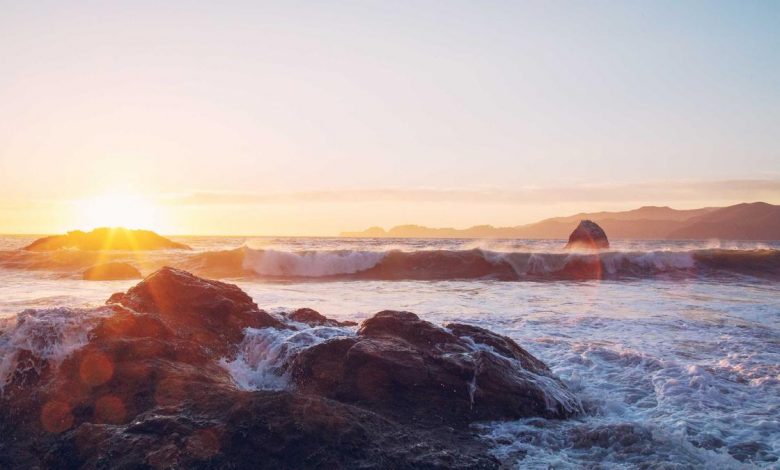 ctet-answer-key-2026-download