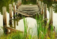 delhi-jaipur-highway-accident