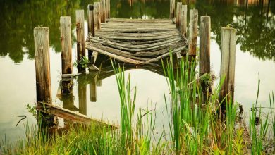 delhi-jaipur-highway-accident