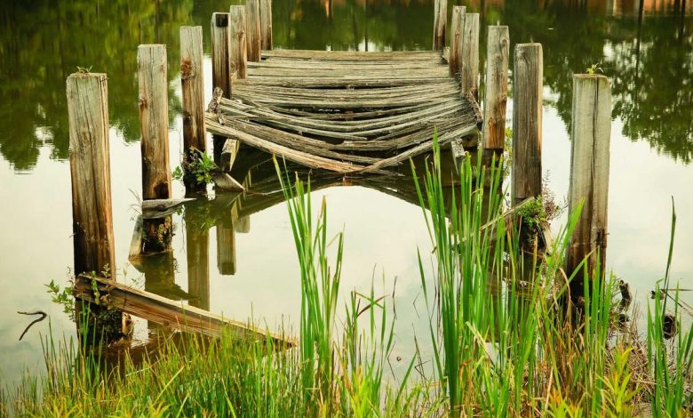 delhi-jaipur-highway-accident