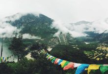 dengue-malaria-encephalitis-viruses