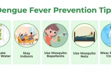 dengue-malaria-prevention-measures