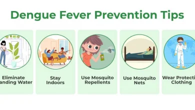 dengue-malaria-prevention-measures