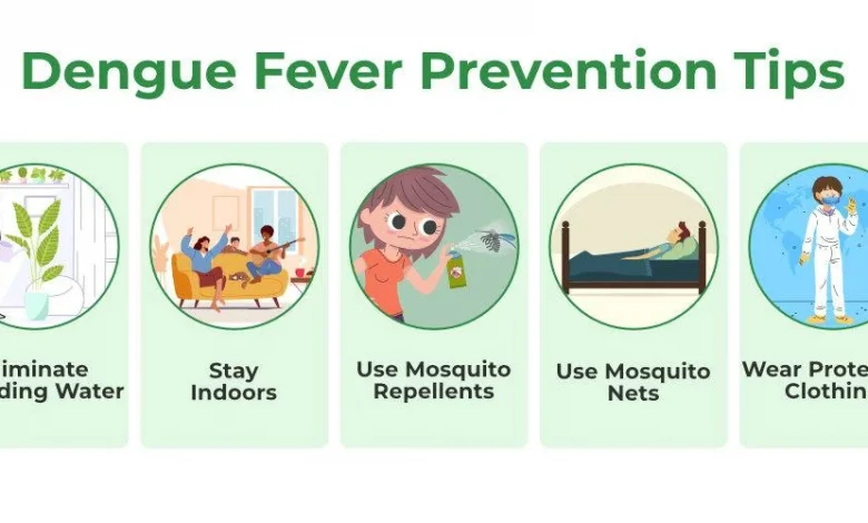 dengue-malaria-prevention-measures
