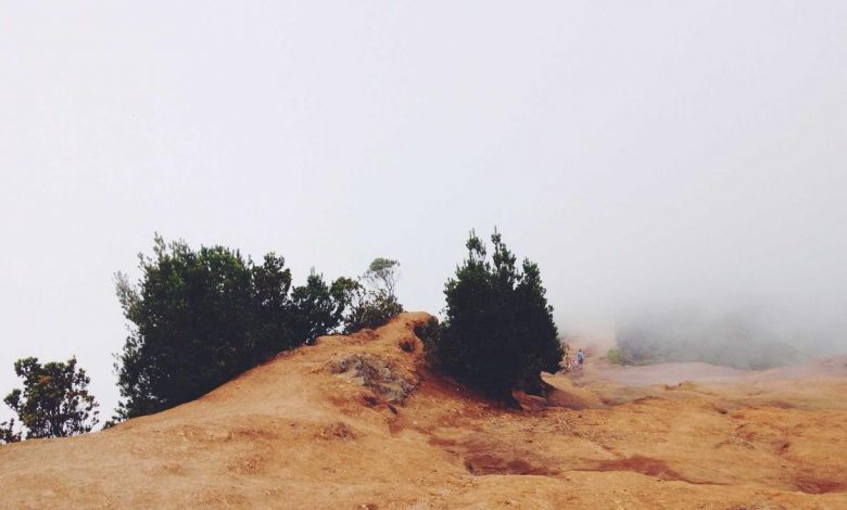 dhurandar-2-trailer-secrets