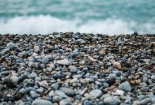 droupadi-murmu-mamata-banerjee-sister