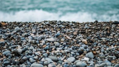 droupadi-murmu-mamata-banerjee-sister