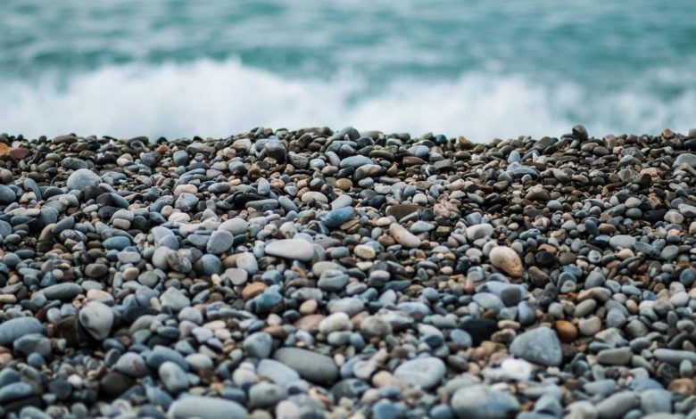 droupadi-murmu-mamata-banerjee-sister