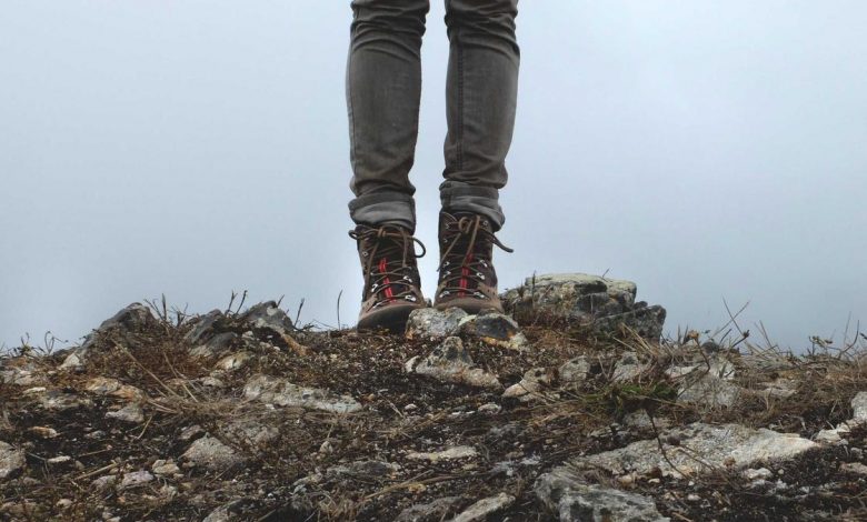 election-date-announcement-bengal