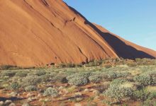 fan-upset-not-invited-wedding