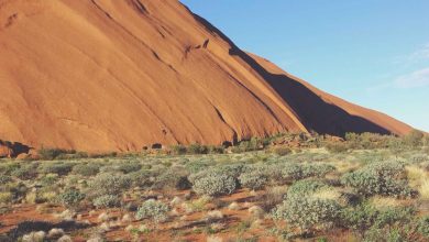 fan-upset-not-invited-wedding