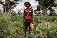 fertilizer-crisis-africa-america