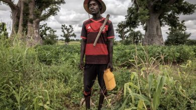 fertilizer-crisis-africa-america