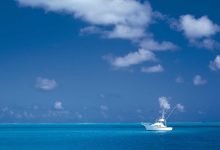 flat-or-farmhouse-which-is-better