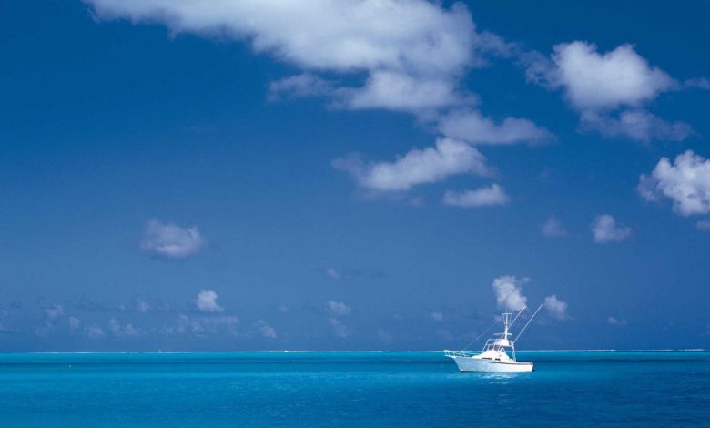 flat-or-farmhouse-which-is-better