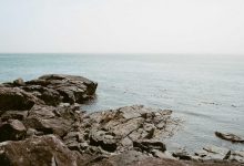 foods-harming-gut-health