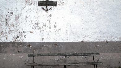 former-chief-election-commissioner-protest