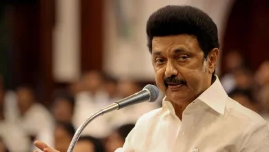 free-electricity-women-2000-stalin-manifesto