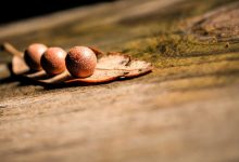 gas-cylinder-booking-rules-changed