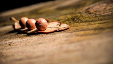 gas-cylinder-booking-rules-changed