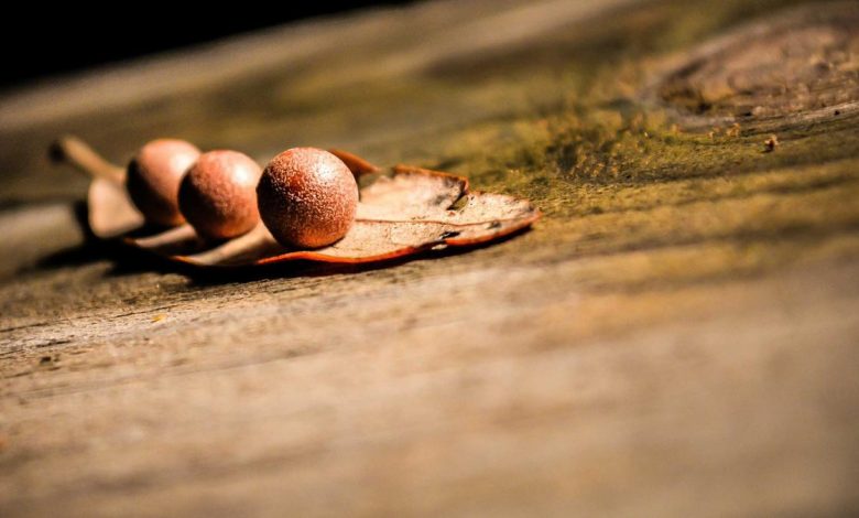 gas-cylinder-booking-rules-changed