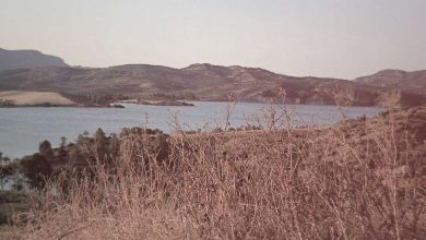 gautam-gambhir-emotional-t20-world-cup