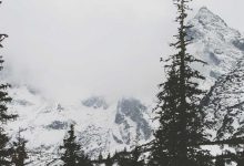 gautam-gambhir-t20-world-cup-critics