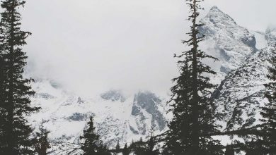 gautam-gambhir-t20-world-cup-critics