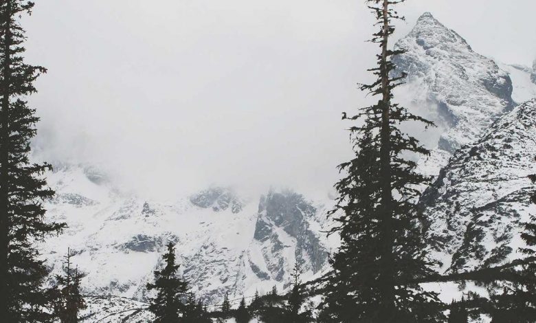 gautam-gambhir-t20-world-cup-critics