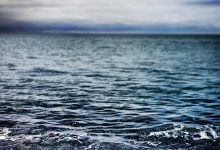 glp-1-drugs-addiction-research