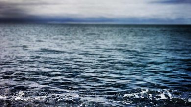 glp-1-drugs-addiction-research