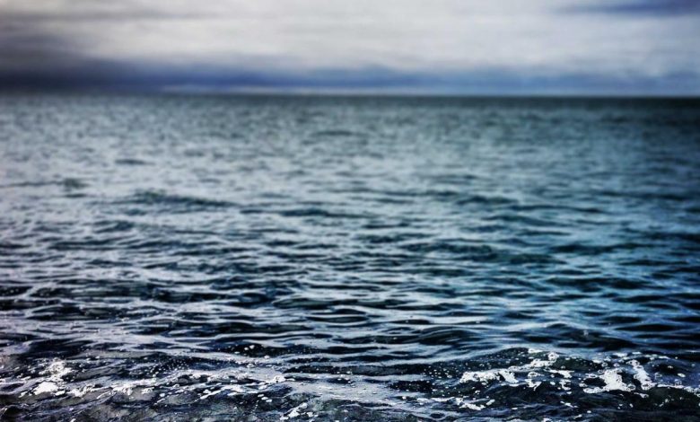 glp-1-drugs-addiction-research