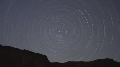 gold-price-global-rise-india-fall