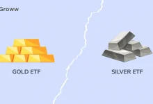 gold-silver-etf-fall-investor-advice
