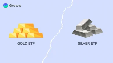 gold-silver-etf-fall-investor-advice