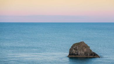 government-rail-companies-big-orders