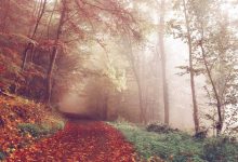 hanuman-temple-world-cup-trophy