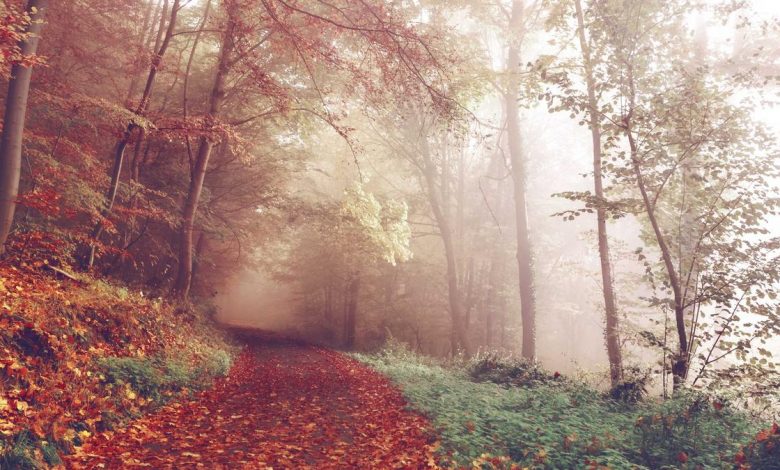 hanuman-temple-world-cup-trophy