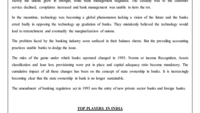 hdfc-bank-jp-morgan-report-perception-risk