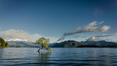 heat-storm-and-rain-in-akola