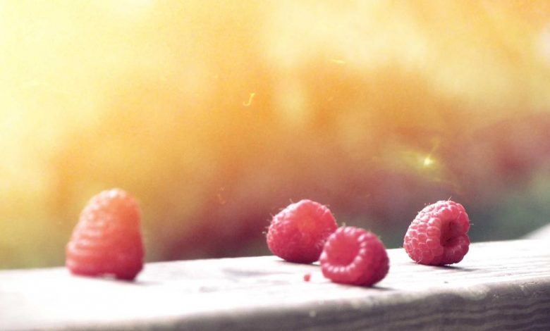 himshikha-murder-case-brother-arrested