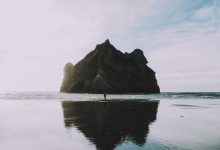 how-up-boy-became-star