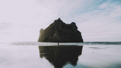 how-up-boy-became-star