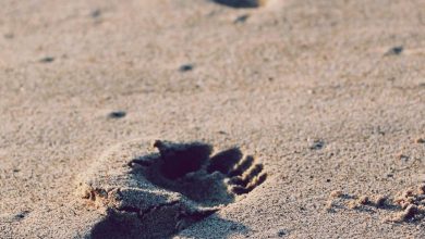 hpv-cancer-vaccination-camp-jakelon